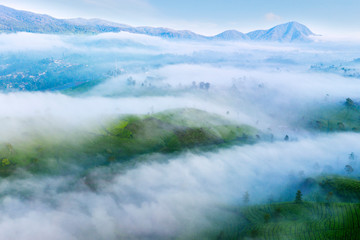 Fog covering highland with tea plantation