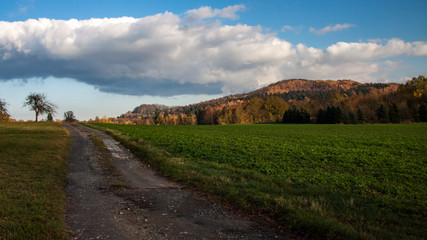 beautiful landscape in autumn