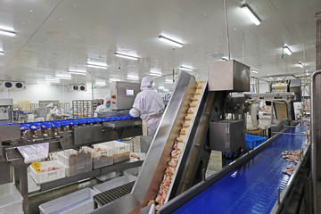 Workers are busy on the broiler processing line, Luannan County, Hebei Province, China