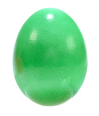 easter egg on white background