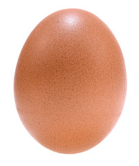 egg isolated on white background