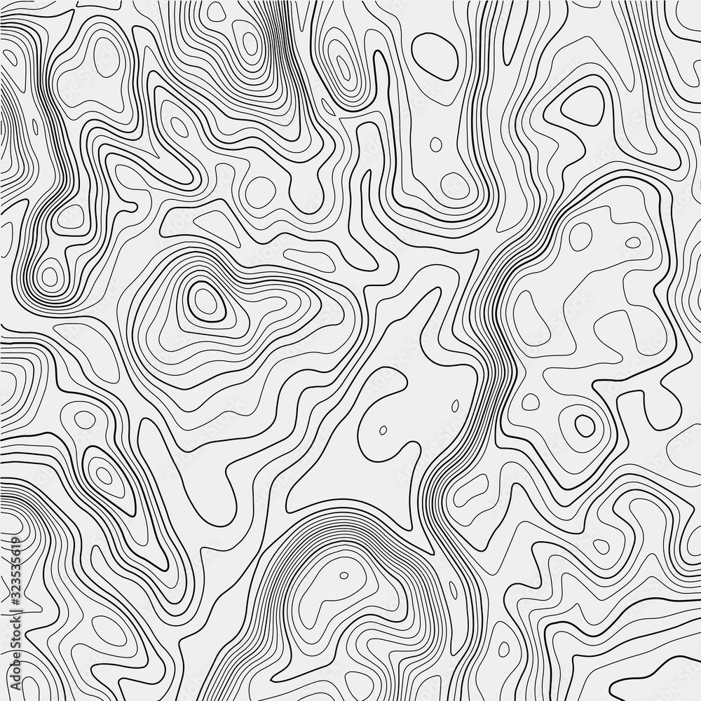 Poster topographic contour map on white background. vector grid map.