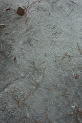 abstract landscape with ice and leaves