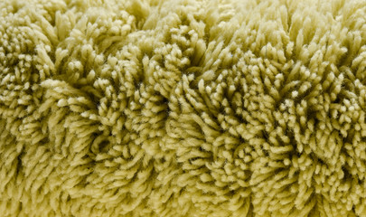 closeup of fur texture background