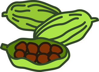 Cardamom icon, vector line illustration