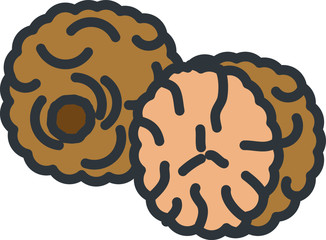 Nutmeg icon, vector line illustration