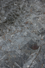 abstract landscape with ice and leaves