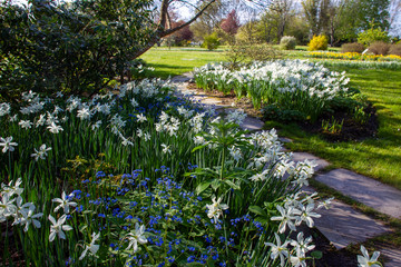 Flowerbed in part of Karl Foester