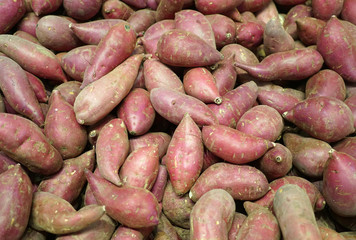 fresh sweet potato in pile as food background