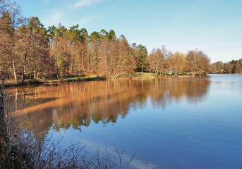 Herbst am Jägersburger Brückweiher bei Homburg – Jägersburger Weiher - Buntes Laub in der...