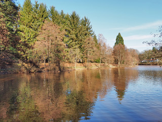 Herbst am Jägersburger Brückweiher bei Homburg – Jägersburger Weiher - Buntes Laub in der...