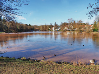 Herbst am Jägersburger Brückweiher bei Homburg – Jägersburger Weiher - Buntes Laub in der...
