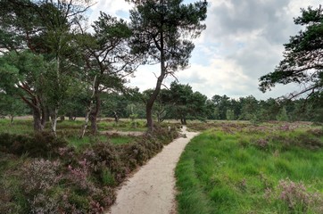parc national de Zoom-Kalmthoutse Heide