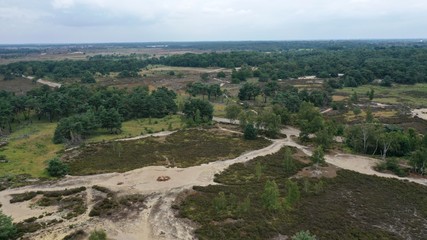 Fototapeta na wymiar parc national de Zoom-Kalmthoutse Heide