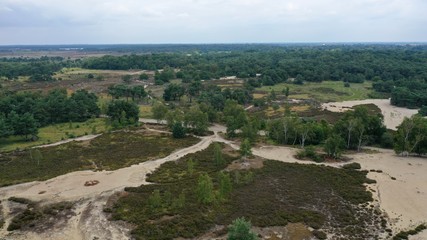 Fototapeta na wymiar parc national de Zoom-Kalmthoutse Heide