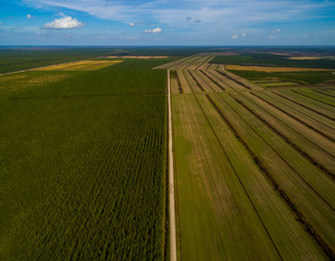Aerial View of a Dirt Road Bisecting Agricultual Fields Stretching to the Horizon