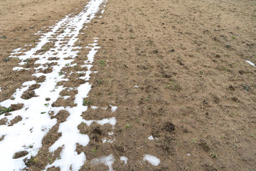 Field for sowing agricultural crops. It's snowing early. Snow and ice lies in the field. Threat of crop failure. poor harvest