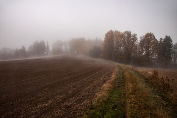 a foggy cold day