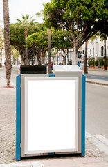 Billboard, banner, empty, white in the city center with palm trees, green plants