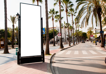 Billboard, banner, empty, white in the city center with street with green palms