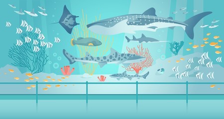 Shark, Stingray, Fish Swim in Saltwater Aquarium