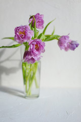 Spring flowers. Bouquet of purple tulips on white background.