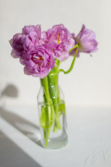 Spring flowers. Bouquet of purple tulips on white background.