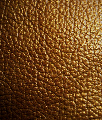 texture of crocodile skin