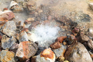 Small Valley of Geysers, Kamchatka Peninsula, Russia. This is a unique active fumarole field, the hot gases of which pass through the water of a cold stream, heating it and creating a gushing effect.