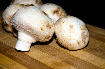 Ceps, champignons on a wooden cutting board, on a black background. Mushroom one and several. Bunch of  mushrooms
