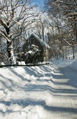 Coldly White Landscape in Ellicott City Maryland USA