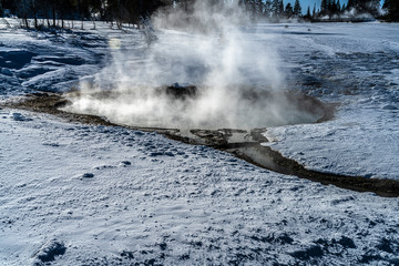 WEST THUMB GEYSER BASIN ON YELLOWSTONE LAKE