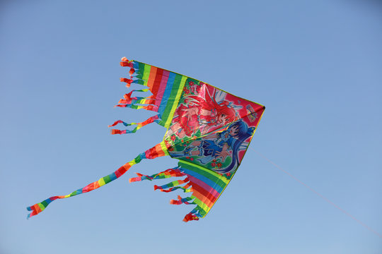 Kites fly freely in the blue sky