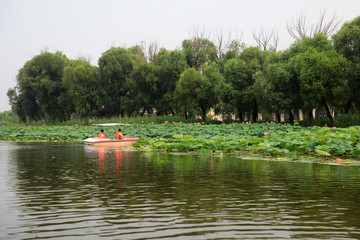 Fototapeta na wymiar Visitors enjoy lotus flowers by boat, Luannan County, Hebei Province, China