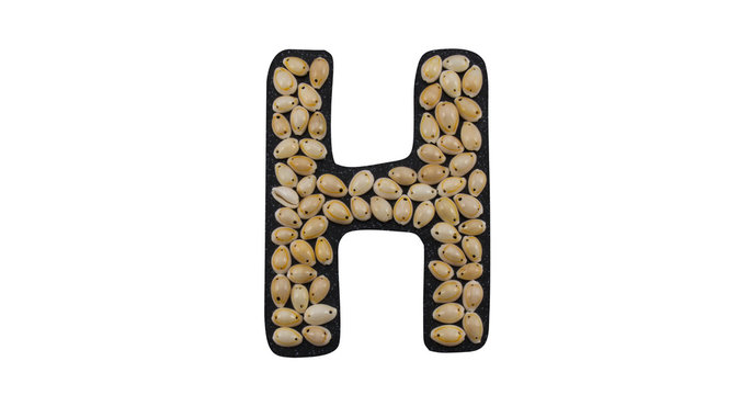 Isolated Font English or Latin Letter H or Russian letter Н made of seashell on black granite on white background