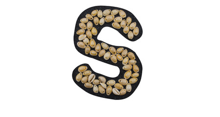 Isolated Font English or Latin Letter S made of seashell on black granite on white background