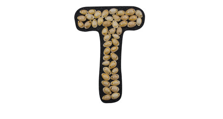 Isolated Font English or Latin Letter T or Russian letter Т made of seashell on black granite on...