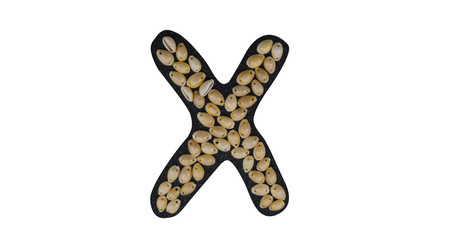 Isolated Font English or Latin Letter X or Russian letter Х made of seashell on black granite on...