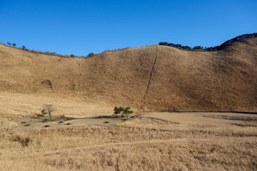 Obraz premium 曽爾高原