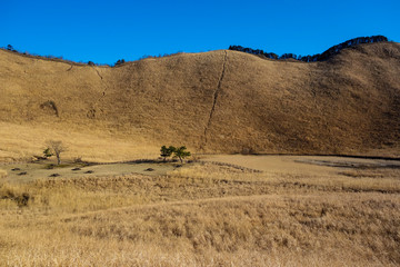 Obraz premium 曽爾高原