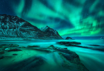 Aurora borealis over snowy mountains, sea coast with sandy beach and stones in blurred water in Lofoten islands, Norway. Northern lights. Winter landscape with polar lights. Starry sky with aurora