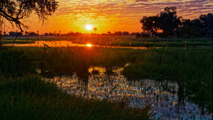 Sunset in the Okavango Delta, Botswana, Africa.