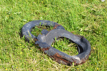 Abandoned old car tires in nature