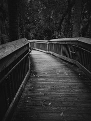 Processed with VSCO with b5 preset