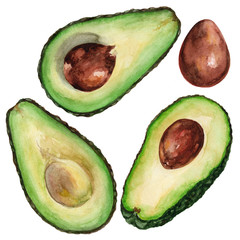 Avocado set, on a white background. Watercolor illustration.