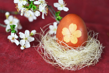  Easter egg in nest and spring flowers. Easter egg naturally dyed with onion skins.