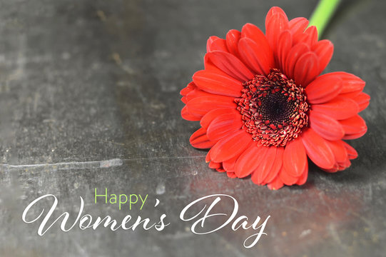 Happy Womens Day card. Gerbera daisy on rusty background