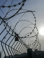 barbed wire on background of blue sky