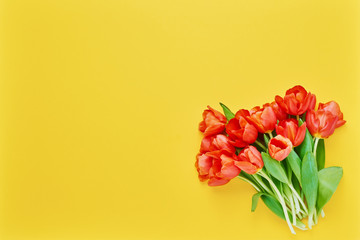 Bouquet of red tulips on a yellow background. Beautiful greeting card. Holidays concept. Copy space, top view.