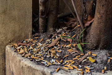 cigarette butts polluting the environment